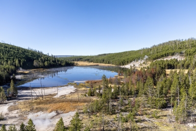 Nymph Lake Yellowstone NP 2024
